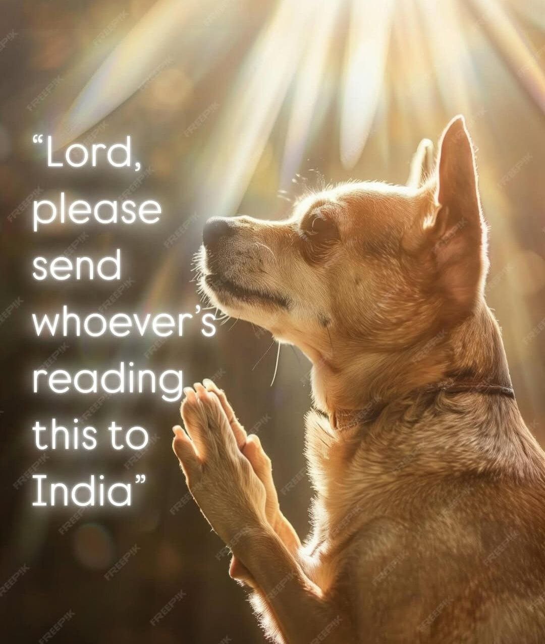 “Lord, please send whoever reading this to India