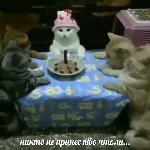 никто не принес тво чтоли...