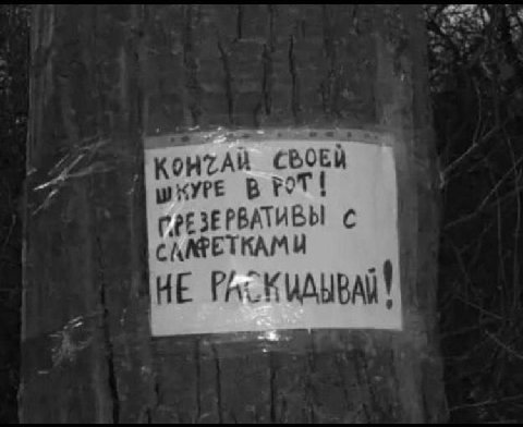 В РОТ С ТКАМИ НЕ