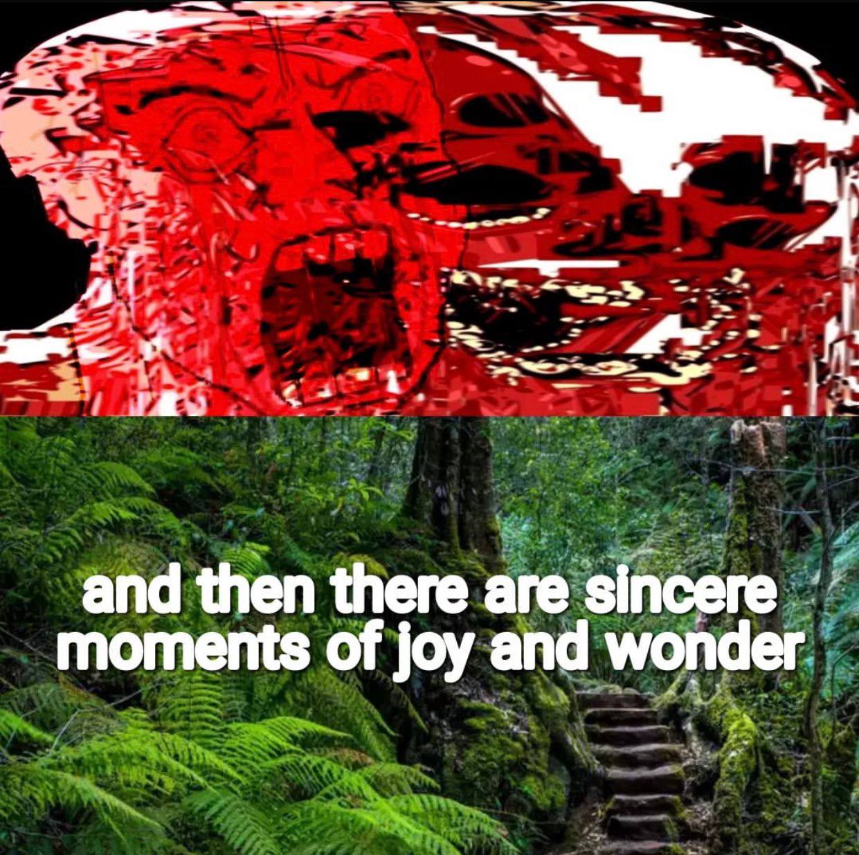 and then there are sincere moments of joy and wonder