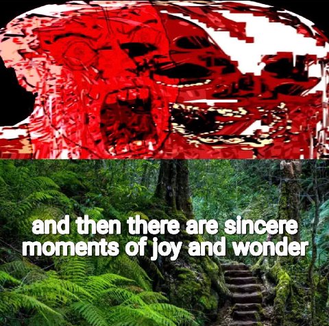 and then there are sincere moments of joy and wonder