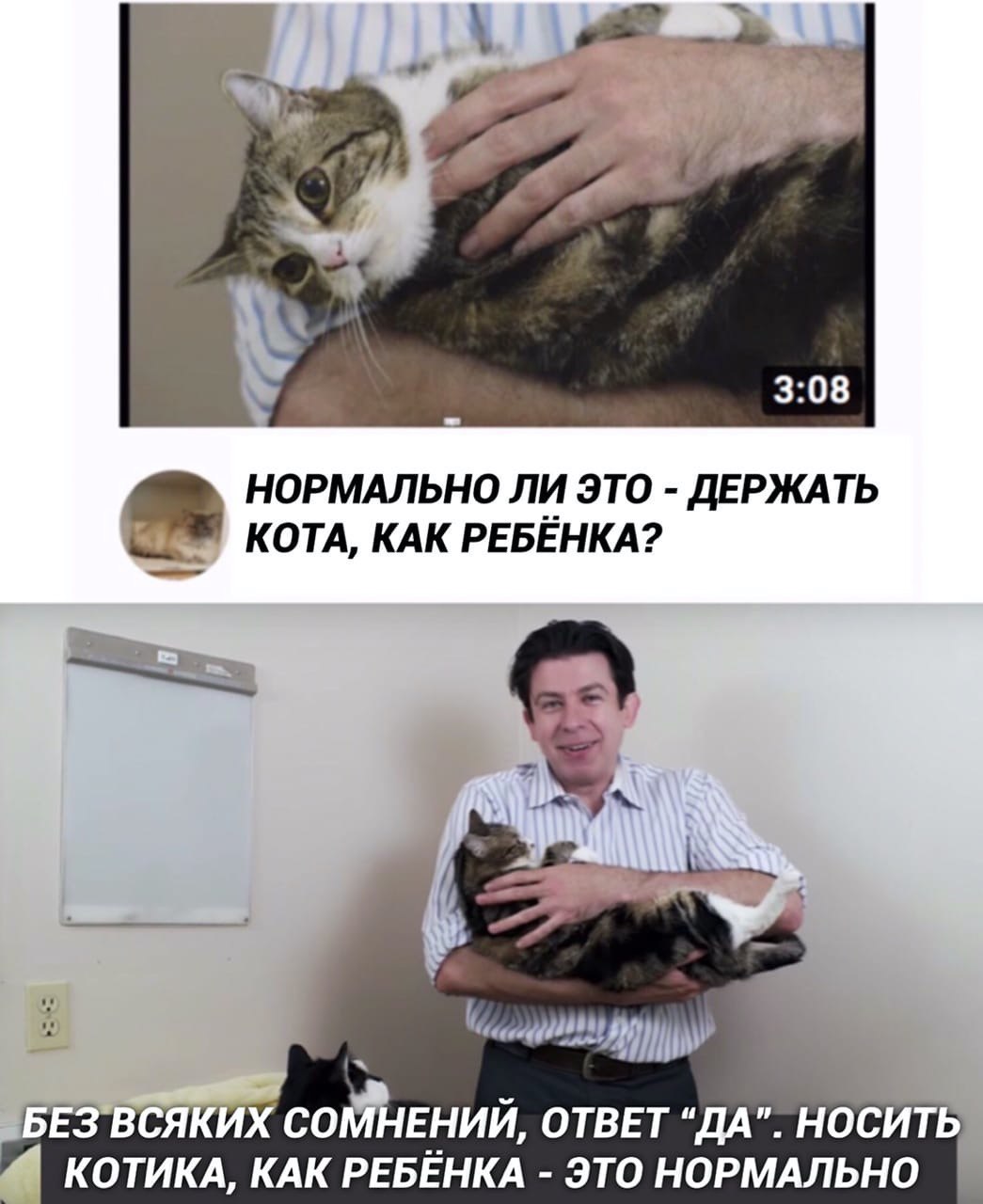 3) #1 a 3:08 НОРМАЛЬНО ЛИ ЭТО ДЕРЖАТЬ КОТА, КАК РЕБЕНКА? 5 ВСЯК] СОМНЕНИЙ, ОТВЕТ “ДА”. НОСИТЬ КОТИКА, КАК РЕБЕНКА ЭТО НОРМАЛЬНО