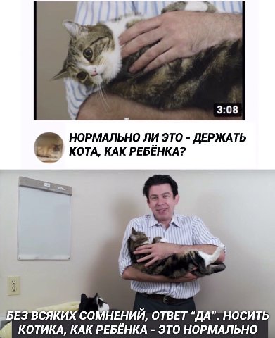 3) #1 a 3:08 НОРМАЛЬНО ЛИ ЭТО ДЕРЖАТЬ КОТА, КАК РЕБЕНКА? 5 ВСЯК] СОМНЕНИЙ, ОТВЕТ “ДА”. НОСИТЬ КОТИКА, КАК РЕБЕНКА ЭТО НОРМАЛЬНО
