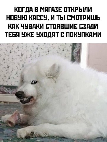 КОГДА В МАГАЗЕ ОТКРЫЛИ НОВУЮ КАССУ, И ТЫ СМОТРИШЬ КАК ЧУВАКИ СТОЯВШИЕ СЗАДИ ТЕБЯ УЖЕ УХОДЯТ С ПОКУПКАМИ wee