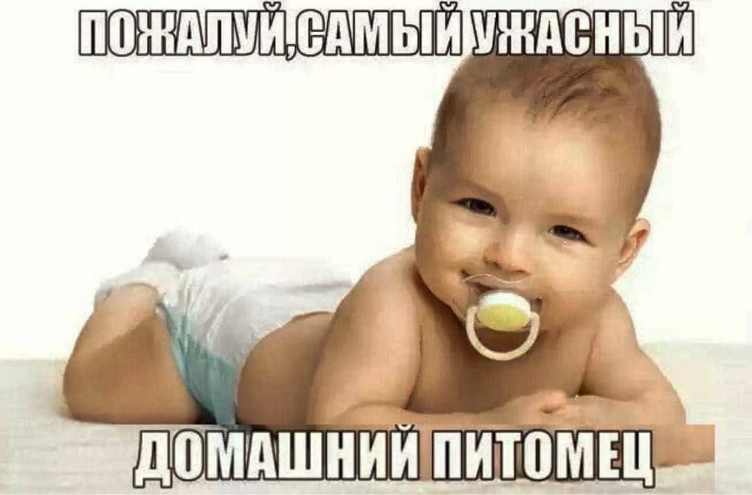 ДОМАШНИИ ПИТОМЕЦ