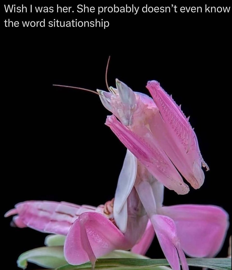 Wish was her. She probably doesn’t even know the word situationship