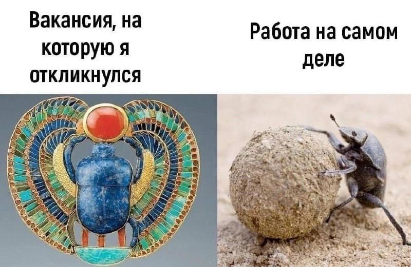 Вакансия, на Работа на самом которую я деле откликнулся PAN я у 2