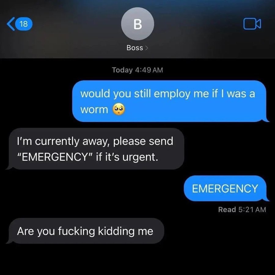 18 В Boss would you still employ me if а worm currently away, please send if it’s urgent. EMERGENCY Are you fucking kidding me