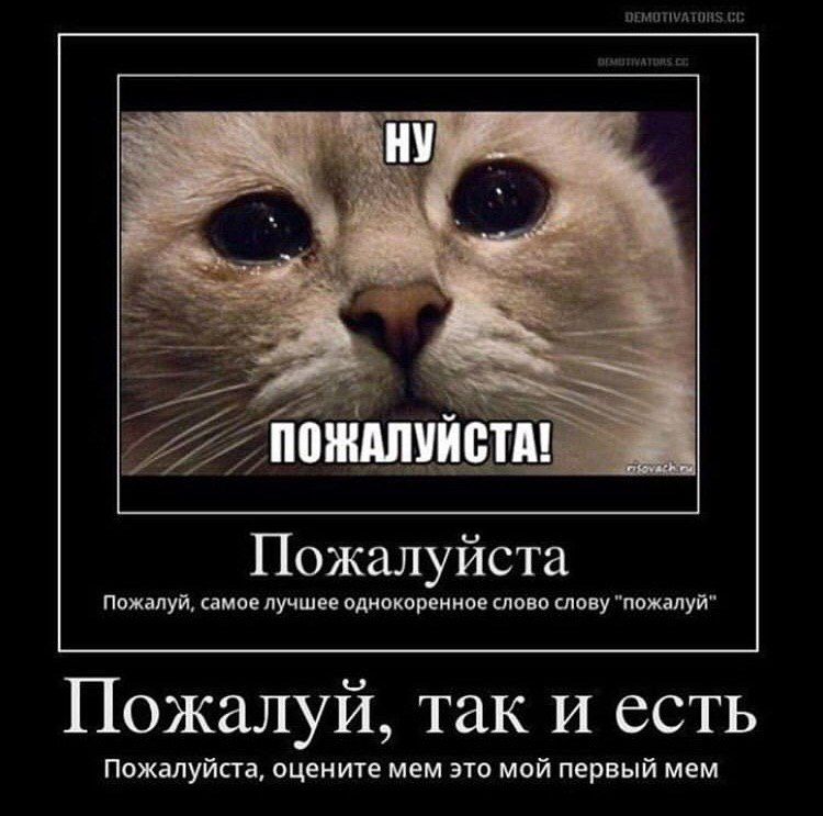ПОЖАЛУИСТА Пожалуйста Пожалуй, самое лучшее однокоренное слово слову "пожалуй" Пожалуй, так и есть Пожалуйста, оцените мем это мой первый мем