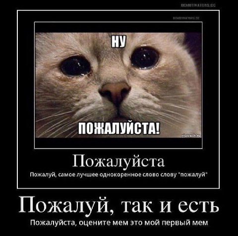 ПОЖАЛУИСТА Пожалуйста Пожалуй, самое лучшее однокоренное слово слову "пожалуй" Пожалуй, так и есть Пожалуйста, оцените мем это мой первый мем