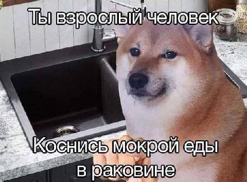 WE Мокрой еды в