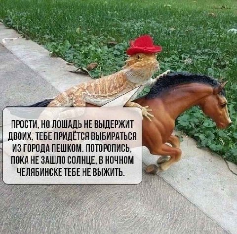 я i is 4 is a) К ПРОСТИ, НО ЛОШАДЬ НЕВЫДЕРЖИТ ДВОИХ, ТЕБЕ ПРИДЁТСЯ ВЫБИРАТЬСЯ ИЗГОРОДА ПЕШКОМ. ПОТОРОПИСЬ, ПОКАНЕ ЗАШЛО СОЛНЦЕ, ВНОЧНОМ ЧЕЛЯБИНСКЕТЕБЕНЕВЫЖИТЬ.