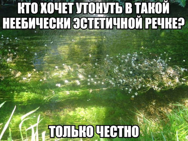 КТО ХОЧЕТ УТОНУТЬ В ТАКОЙ НЕЕБИЧЕСКИ ЭСТЕТИЧНОЙ we as 2% К столько CTHO