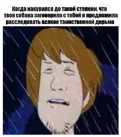 Когда накурился до такой степени, что твоя собака с тобой и предложила расследовать всякое таинственной дерьмо