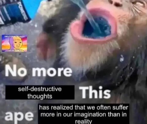 self-destructive thoughts This has realized that we often suffer more in our imagination than in reality