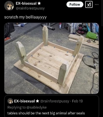 EX-bisexual у @rainforestpussy scratch my belllaayyyy EX-bisexual Ж @rainforestpussy Feb 19 Replying to @sabledyke tables should be the next big animal after seals