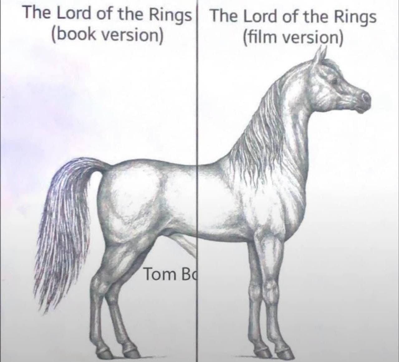 The Lord of the Rings| The Lord of the Rings (book version) (film version) у} Tom