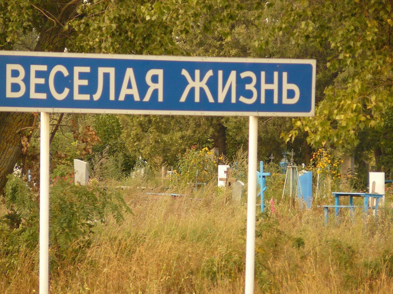 ВЕС ЕЛАЯ ЖИЗНЬ