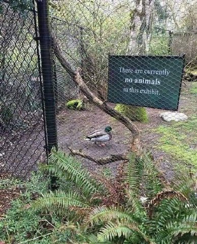 вот ето щас обидно было