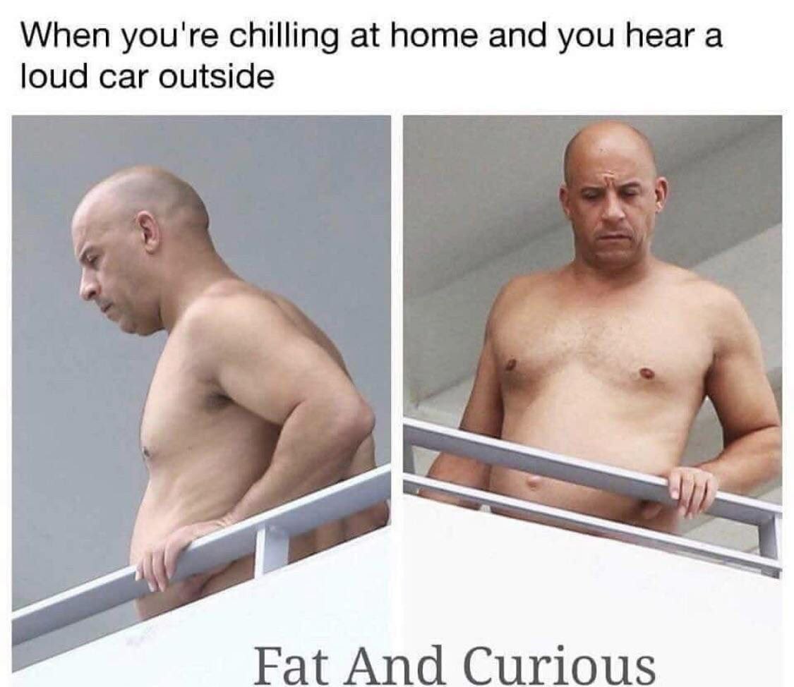 When you're chilling at home and you hear а loud car outside Fat And Curious