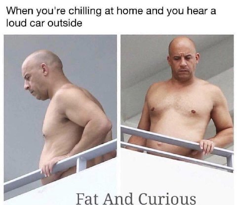 When you're chilling at home and you hear а loud car outside Fat And Curious
