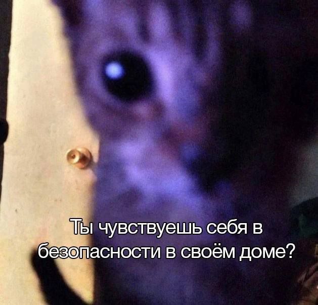 чувствуешь себя в безопасности в своём доме?