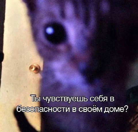 чувствуешь себя в безопасности в своём доме?