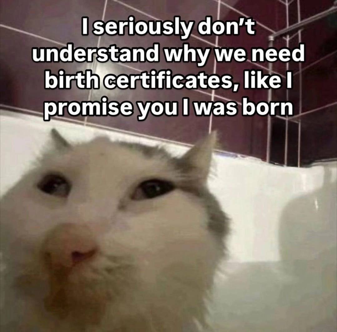 seriously don’t understand why we need like promise you was born