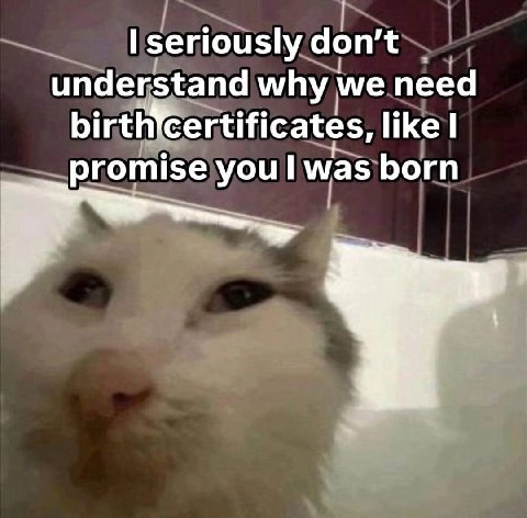 seriously don’t understand why we need like promise you was born