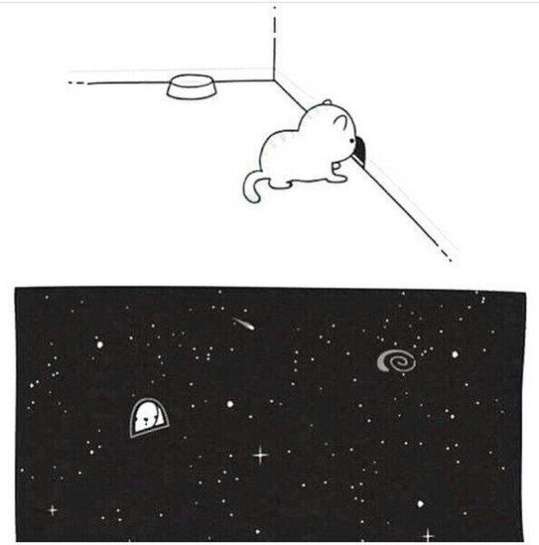 С