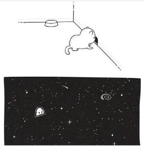 С