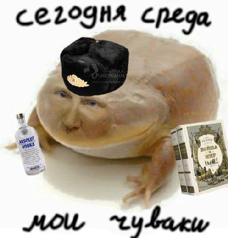 среда