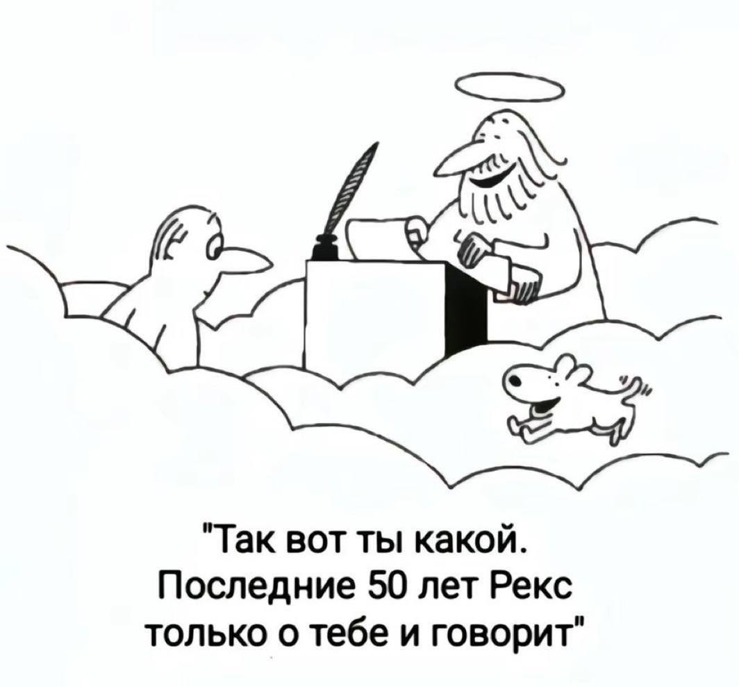 "Так вот ты какой. Последние 50 лет Рекс только о тебе и говорит"