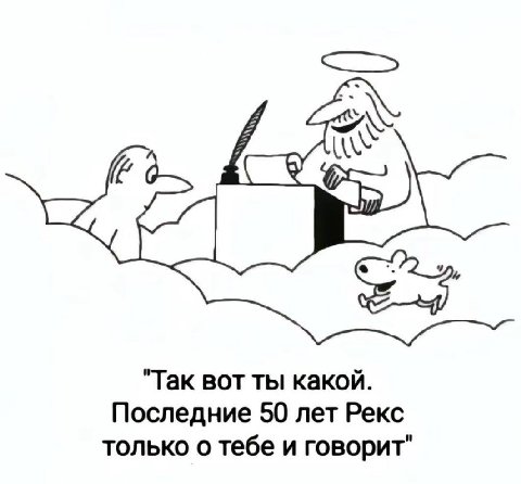 "Так вот ты какой. Последние 50 лет Рекс только о тебе и говорит"