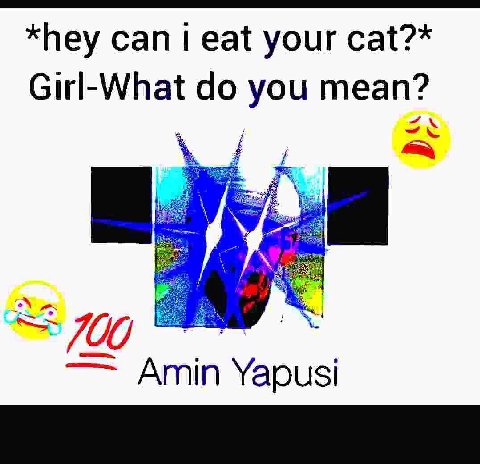 *hey can 1 eat your cat?* Girl-What you mean? Amin Yapusi