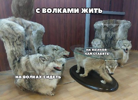 С ВОЛКАМИ ЖИТЬ НА ВОЛКОВ ЧАЙ СТАВИТЬ НА ВОЛКАХ СИДЕТЬ
