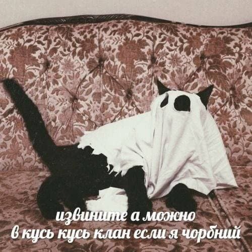 а можно 6 кусь кусь клан если я чордний
