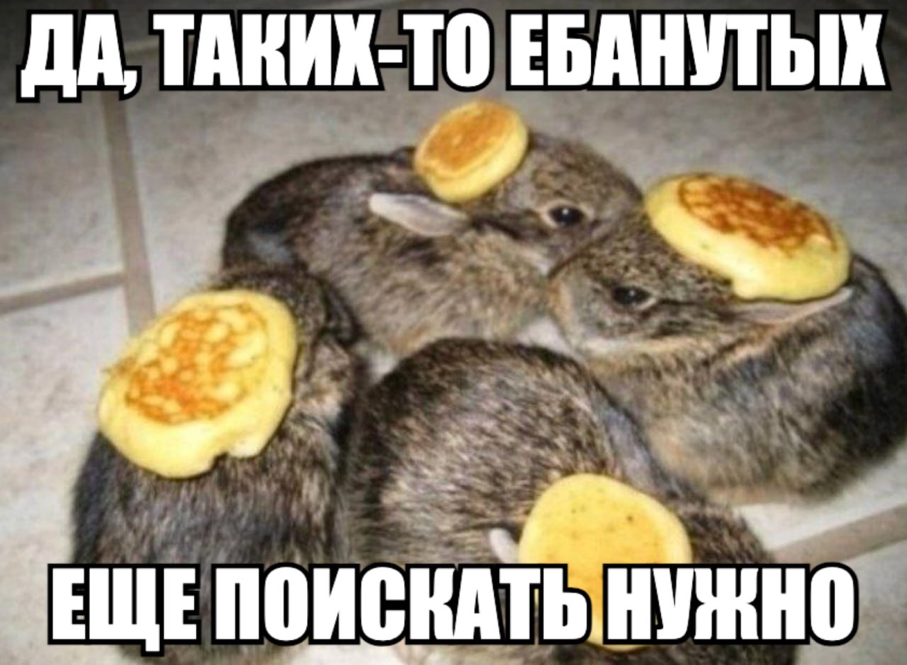 ДА, ТАКИХ-ТО ЕБАНУТЫХ 7 ПОИСКАТЬ, НУЖНО