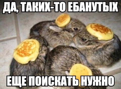 ДА, ТАКИХ-ТО ЕБАНУТЫХ 7 ПОИСКАТЬ, НУЖНО