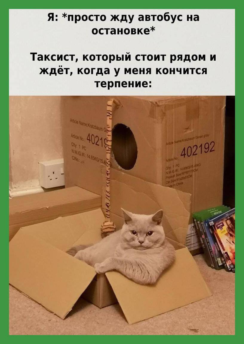 Я: *просто жду автобус на остановке* Таксист, который стоит рядом и ждет, когда у меня кончится терпение: