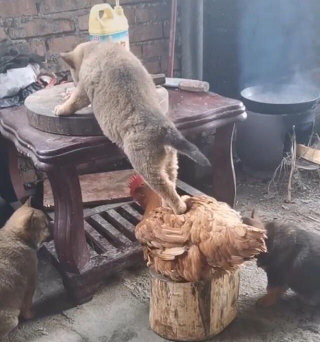 3 on 2 4