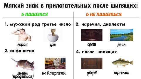 Мягкий знак в прилагательных после шипящих: 6 пишется о Не пишеться 1. мужской род третье число 2. наречия, диалекты у} горяч среш речь 2. инфинитив 4. после шипящих (кродеться) не 6 терпежь трескаь