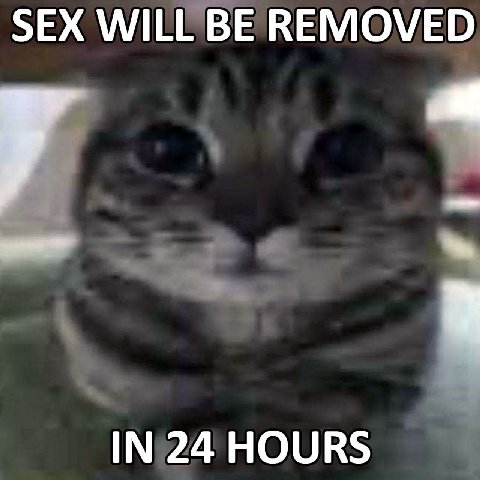 SEX WILL BE REMOVED IN 24 HOURS