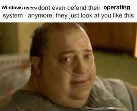 Windows users dont even defend their operating system anymore, they just look at you like this
