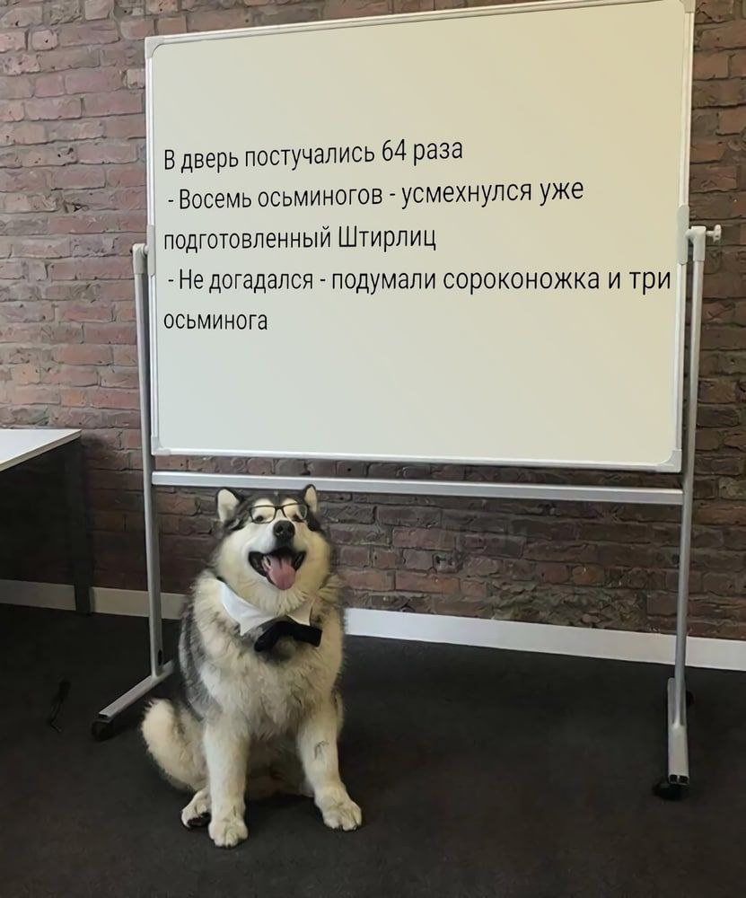 В дверь постучались 64 раза Восемь осьминогов усмехнулся уже подготовленный Штирлиц -Не догадался подумали сороконожка и три осьминога