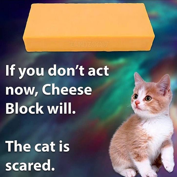 If you don’t act now, Cheese Block will. The cat 1$ scared.