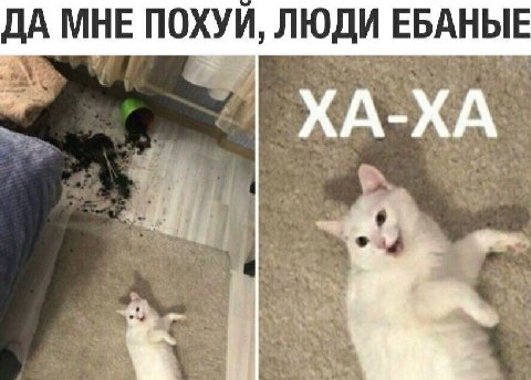 ДА МНЕ ПОХУИ, ЛЮДИ ЕБАНЫЕ ХА-ХА