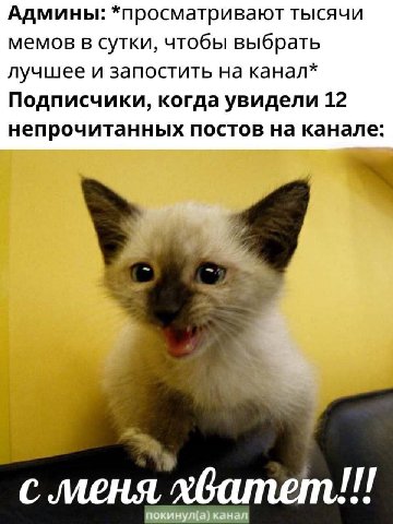 Админы: *просматривают тысячи мемов в сутки, чтобы выбрать лучшее и запостить на канал* Подписчики, когда увидели 12 непрочитанных постов на канале: 4 с меня хватет!!! eee покинул(а) канал