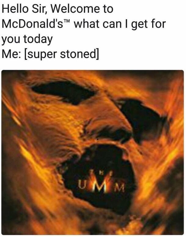 Hello Sir, Welcome to McDonald's™ what can get for you today Me: [super stoned]