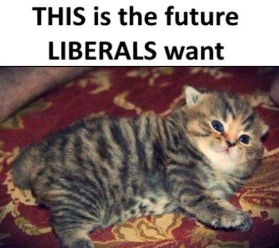 THIS is the future LIBERALS want
